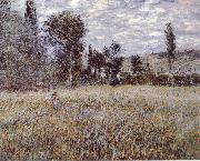 Claude Monet A Meadow oil painting on canvas